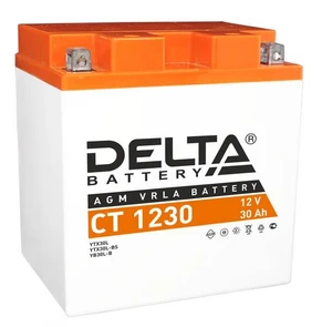Мотоаккумулятор DELTA СТ1230, 30 А·ч, 300 А AKB3795